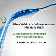 Webinaire de la commission FMC   Endoscopie métabolique   Pr Gabriel Rahmi