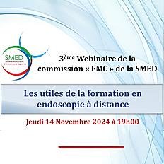 Webinaire de la commission FMC   Les outils de la formation en endoscopie