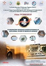 10ᵉ Workshop d’Endoscopie Digestive Interventionnelle sur modèle animaux 