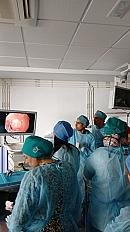 10ᵉ Workshop d’Endoscopie Digestive Interventionnelle sur modèle animaux 